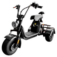 ЭЛЕКТРОСКУТЕР CITYCOCO GT X5 TRIKE 1500W 15AH 48V Карбон