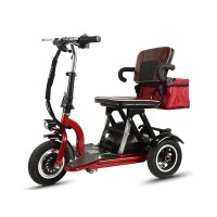 Электротрицикл Elbike Адъютант A1 SLA 48V 20Ah Trike красный