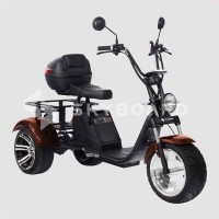 Электроскутер CityCoco SKYBOARD Trike BR80 Коричневый